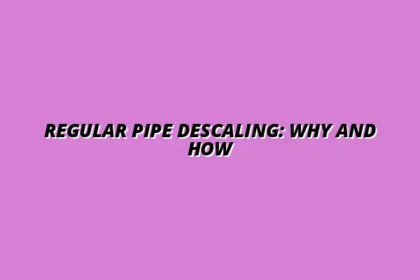 Why and how you should descale your pipes regularly