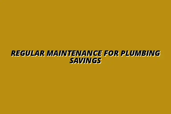 Preventing costly plumbing repairs through regular maintenance