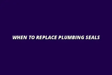 How often should you replace plumbing seals and gaskets?