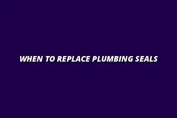 How often should you replace plumbing seals and gaskets?