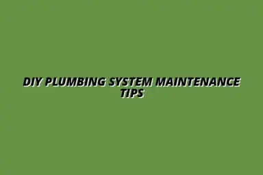 How to maintain your plumbing system without professional help