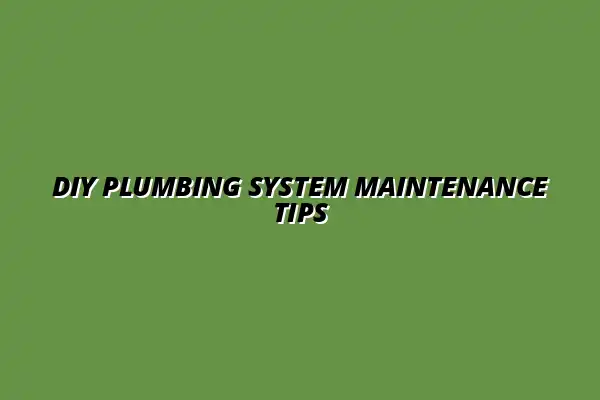 How to maintain your plumbing system without professional help