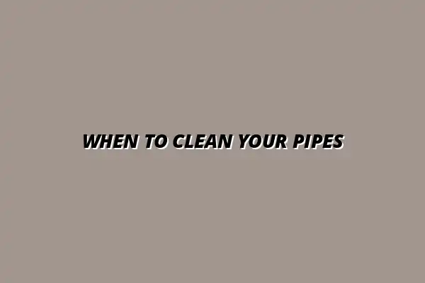 How often should you get your pipes cleaned and why