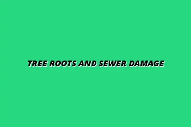 How tree roots invade and damage your sewer pipes