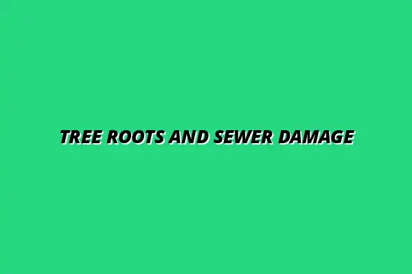 How tree roots invade and damage your sewer pipes