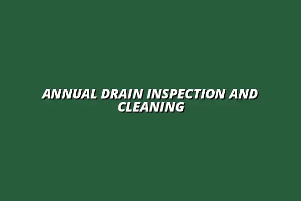 Why you need to inspect and clean your drains annually