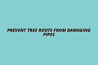 How to prevent tree roots from damaging your pipes